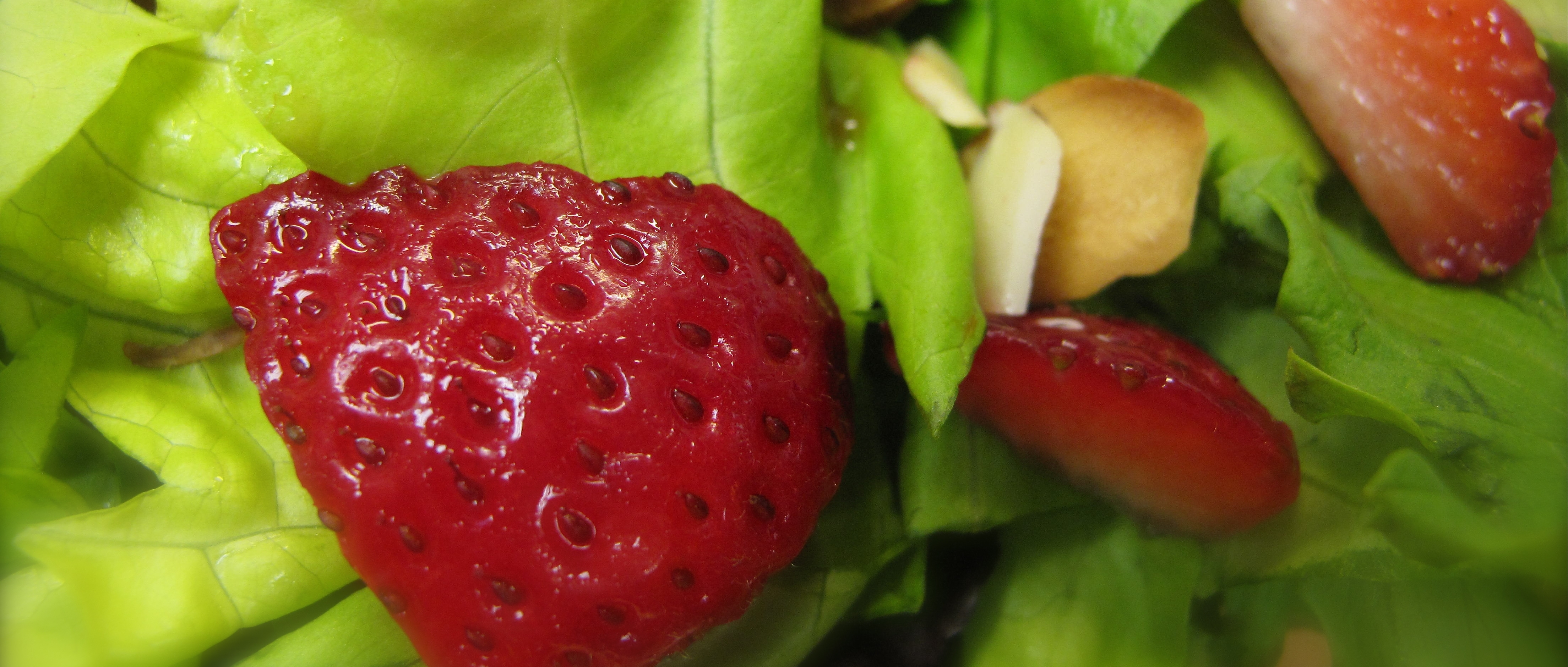 Bibb Lettuce with Strawberries & Chevre fluff photo