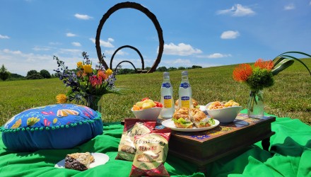 Picnic in The Museum Park! supplementary image left side