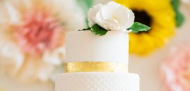 Cake Explorer picture